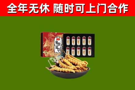 伊吾县回收冬虫夏草价格