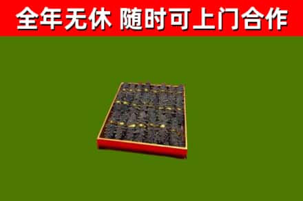 伊吾县烟酒回收海参.jpg